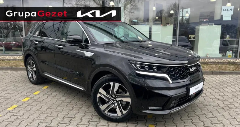 kia pelplin Kia Sorento cena 254900 przebieg: 5, rok produkcji 2023 z Pelplin